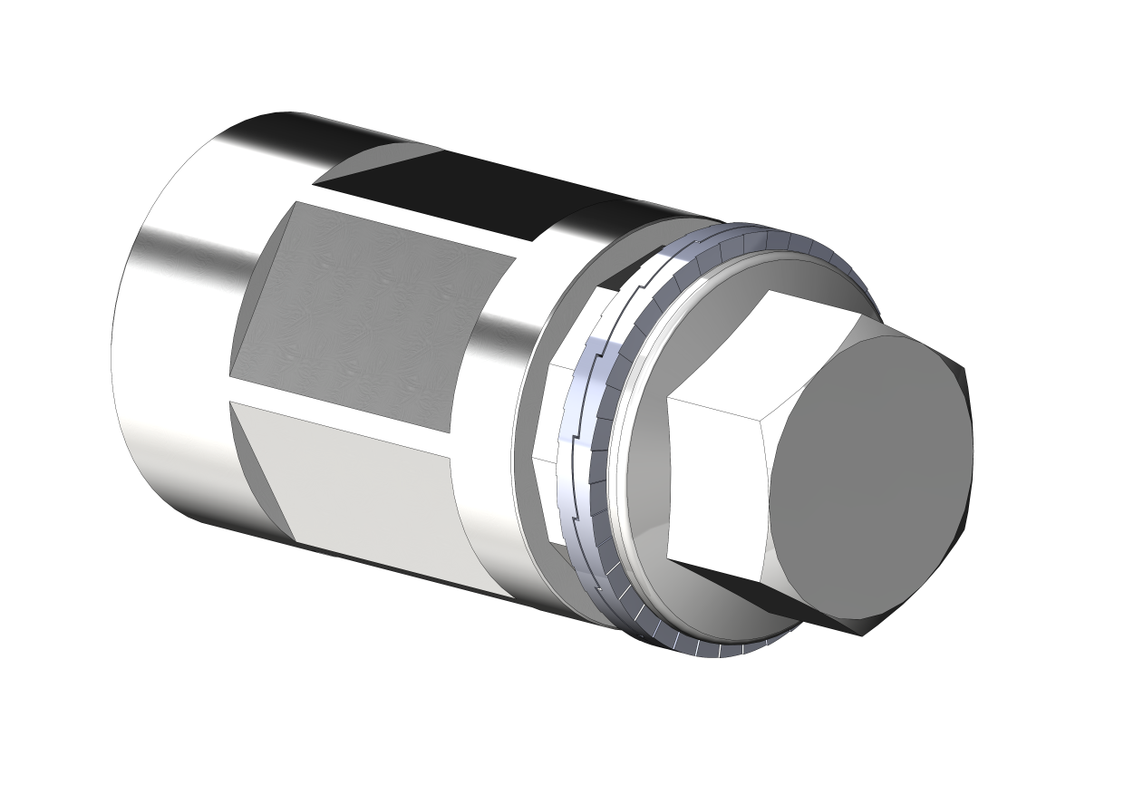 Steckachsen-Adapter Polygon (Weber)